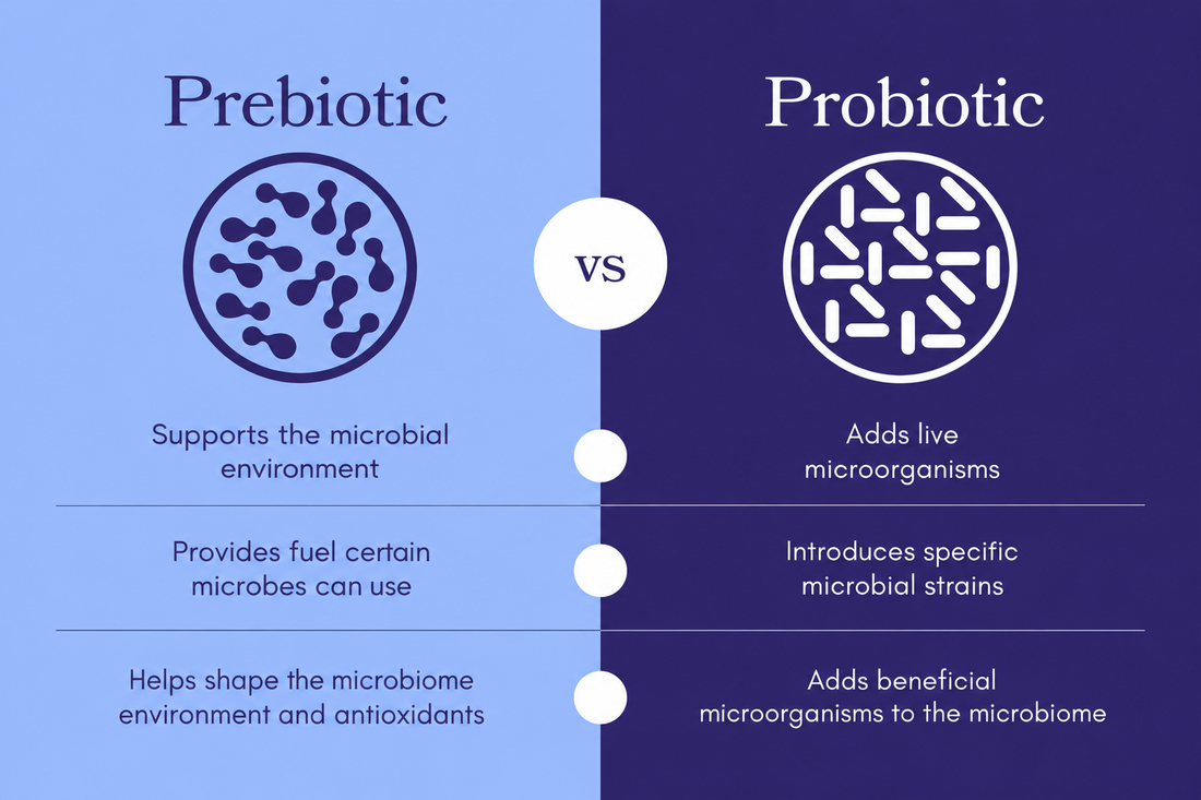 Prebiotics vs. Probiotics